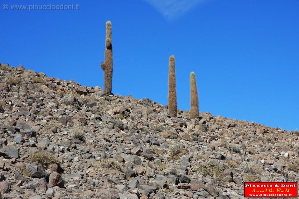 CILE - Sulla strada per San Pedro de Acatama - 12.jpg